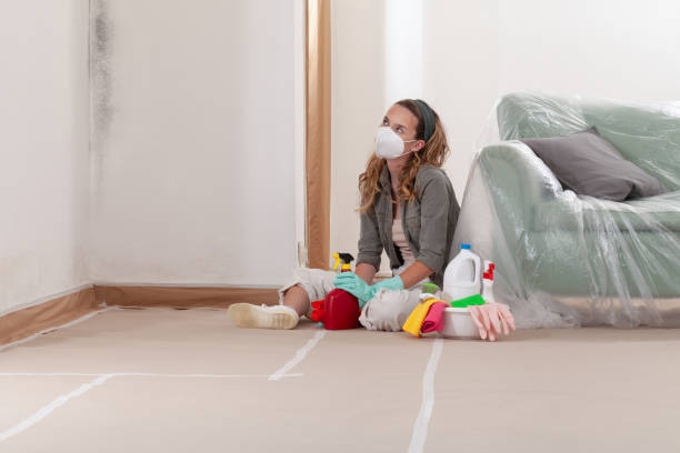 Reliable Mold Inspection contractor in Wittman, MD by WQB Mold Removal